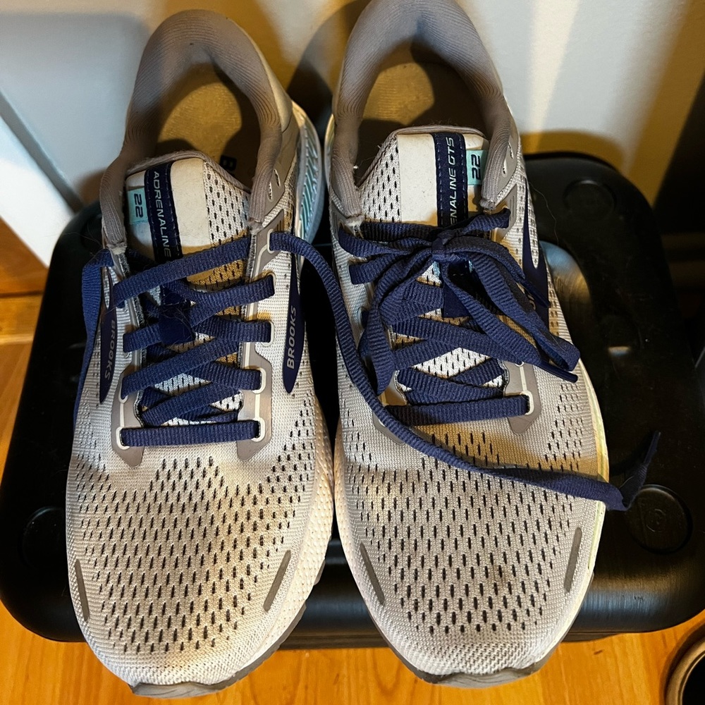Brooks adrenaline GTS 22